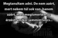 /album/fenykepgaleria/a10689491-743533892406466-261253689050179240-n-jpg/